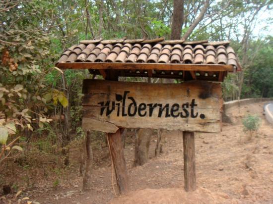 Wildernest Resort, Goa