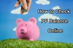 Check PF Balance Online