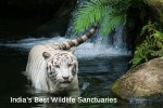 Best Wildlife Sanctuaries in India
