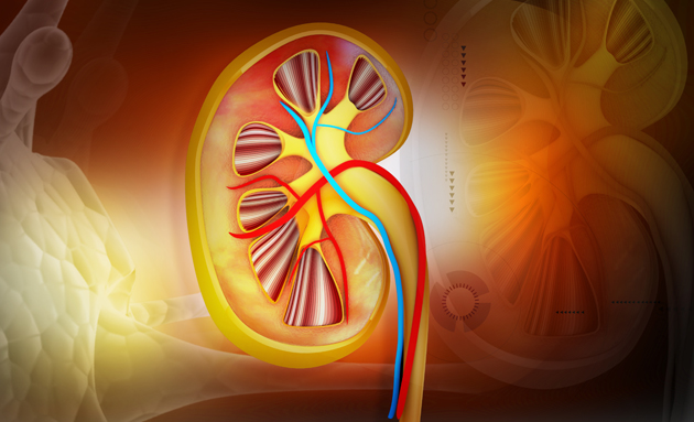 Best Kidney Transplantation Hospital in India